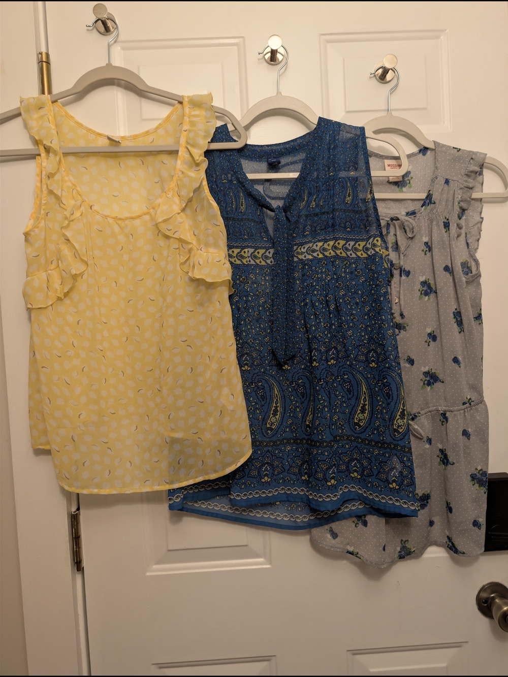 Sleeveless Sheer Tanks EUC